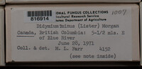 Image Associated With the Occurence